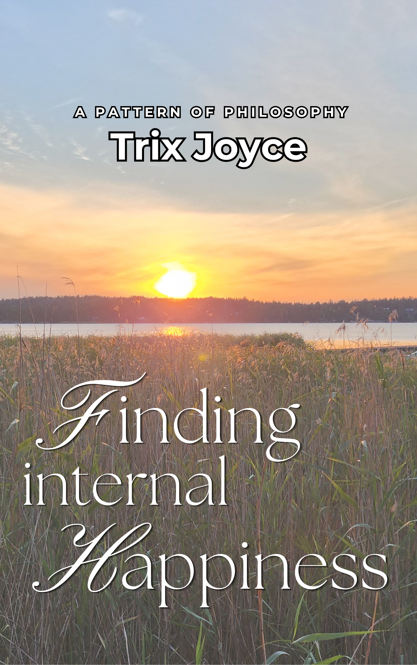 Finding Internal Happiness - ebook